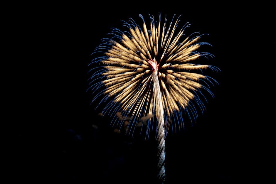 Summer in Tokyo: A Survival Guide That's Also a Love Letter