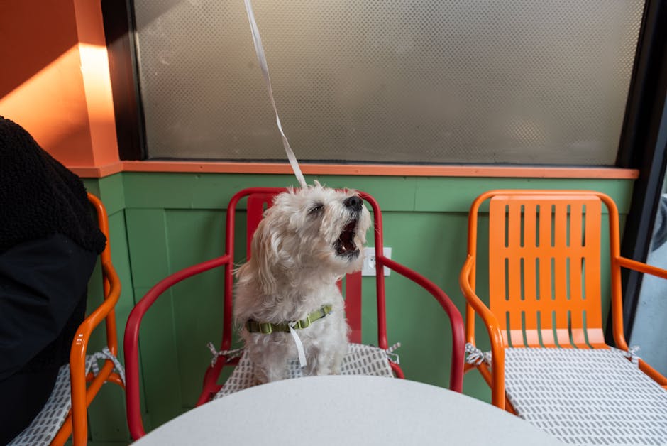 The Dog Cafe Phenomenon: Why Asia Took Pet Culture Indoors
