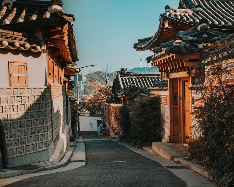 Winter in Seoul: The Cold Makes Everything Better
