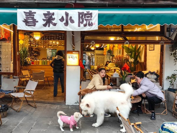 Pet-Friendly Spaces in Asian Cities: Where Your Dog Is Actually Welcome